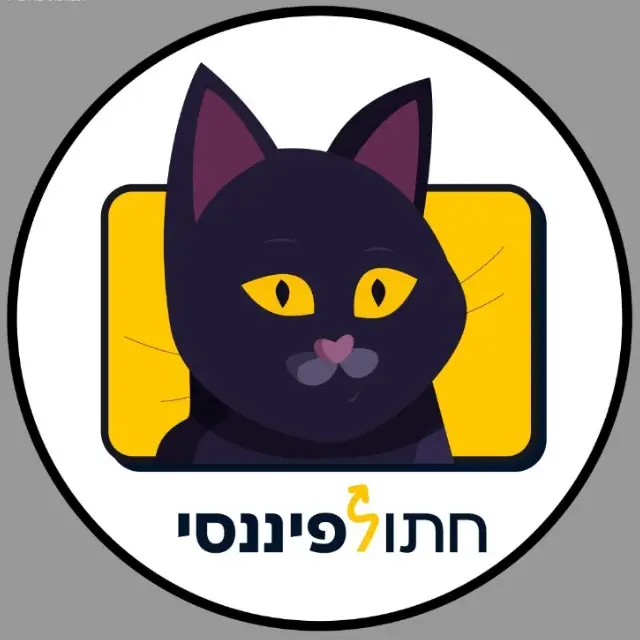 חתול פיננסי 🐈‍⬛💸 #4