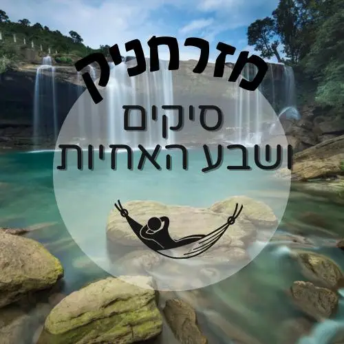 🇮🇳 סיקים ושבע האחיות | מזרחניק