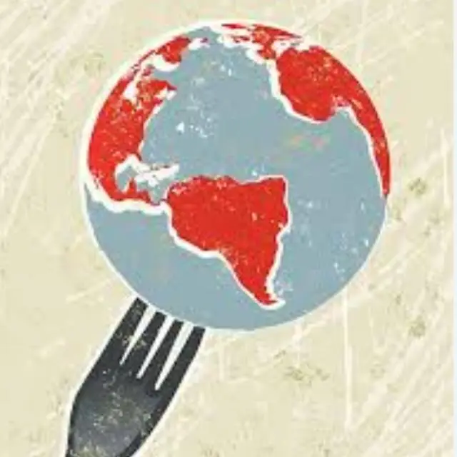 מידע מסעדות מהדרין בעולם 🌎🍽️