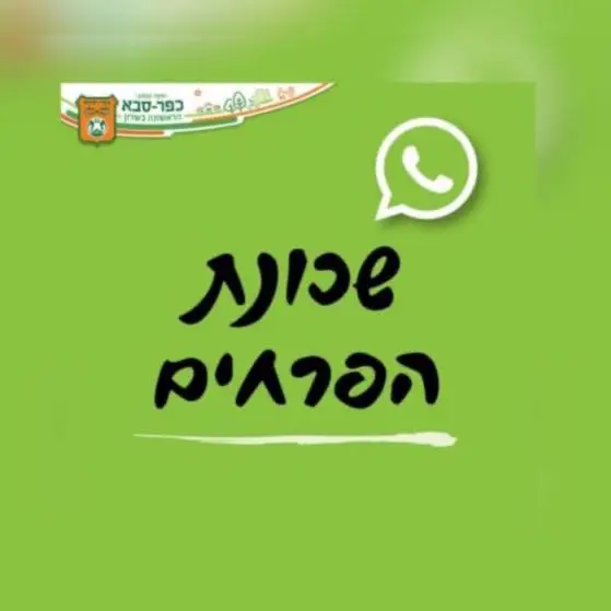 שכונת הפרחים 3