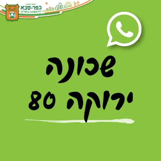 ירוקה 80 3