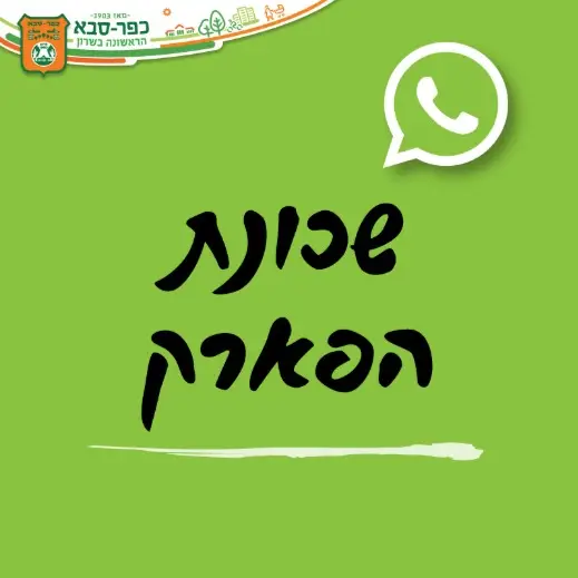 שכונת הפארק