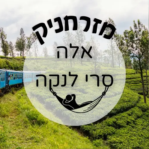 🇱🇰 אלה - סרי לנקה | מזרחניק